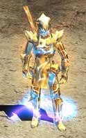 Warrior Leather Set