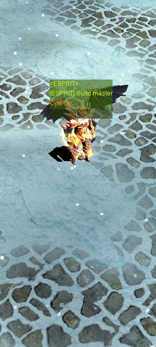 Alliance Head